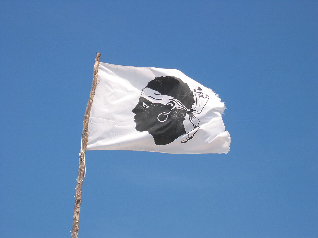 Le drapeau corse, à tête de Maure