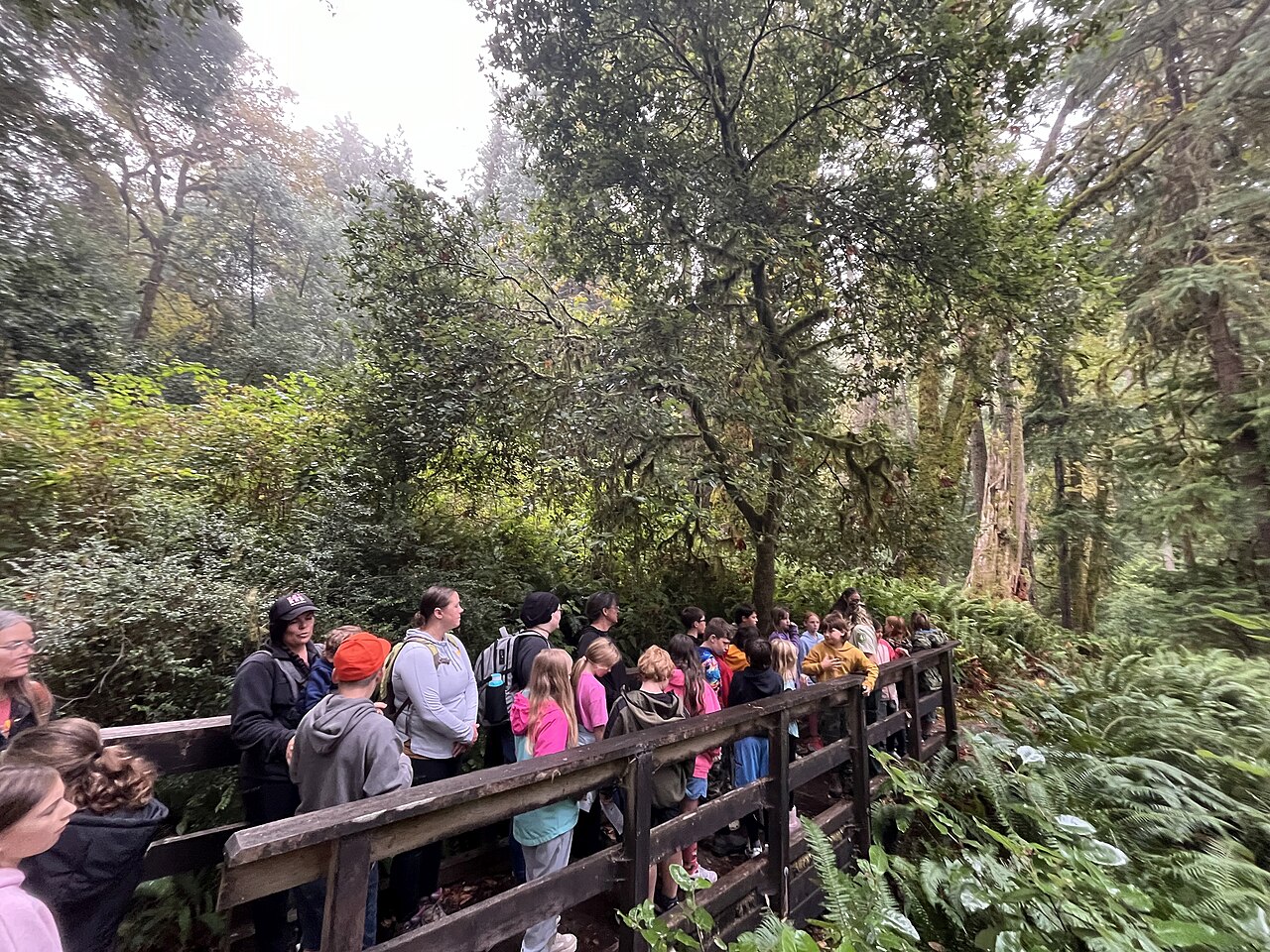 Une sortie scolaire en pleine nature